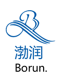 营口渤润实业发展科技有限公司